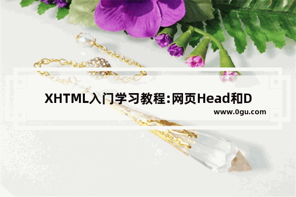 XHTML入门学习教程:网页Head和DTD