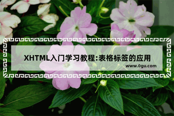 XHTML入门学习教程:表格标签的应用