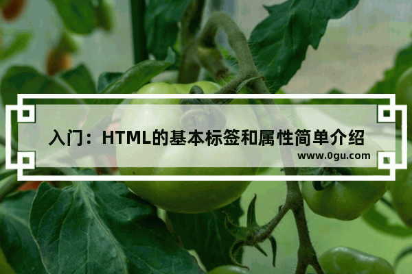 入门：HTML的基本标签和属性简单介绍