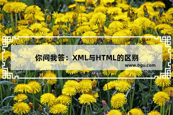 你问我答：XML与HTML的区别