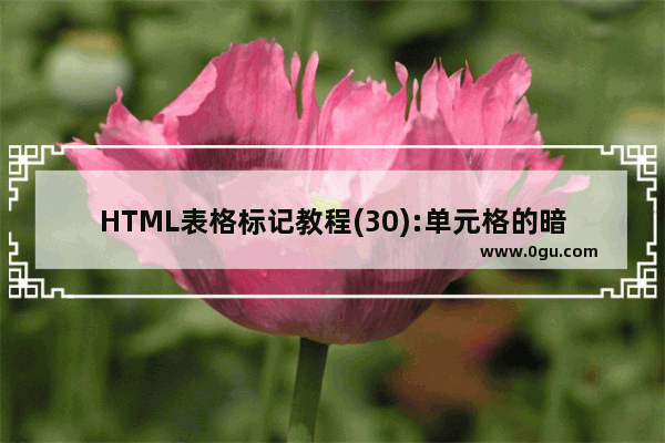 HTML表格标记教程(30):单元格的暗边框色属性BORDERCOLORDARK