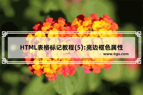 HTML表格标记教程(5):亮边框色属性BORDERCOLORLIGHT