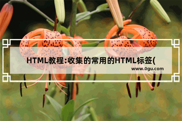 HTML教程:收集的常用的HTML标签(4)