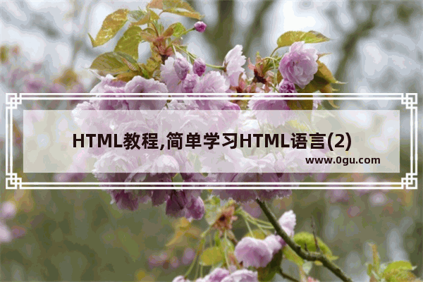 HTML教程,简单学习HTML语言(2)