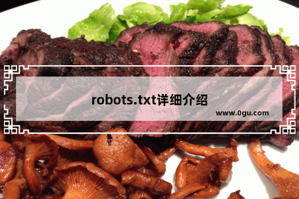 robots.txt详细介绍