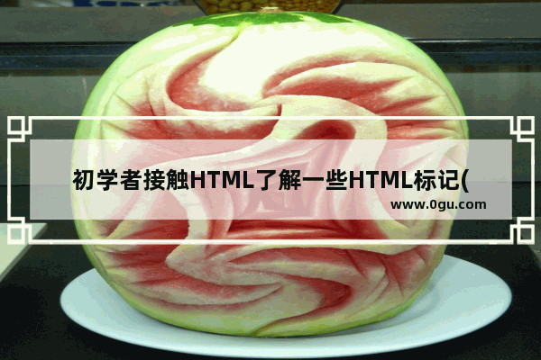 初学者接触HTML了解一些HTML标记(3)