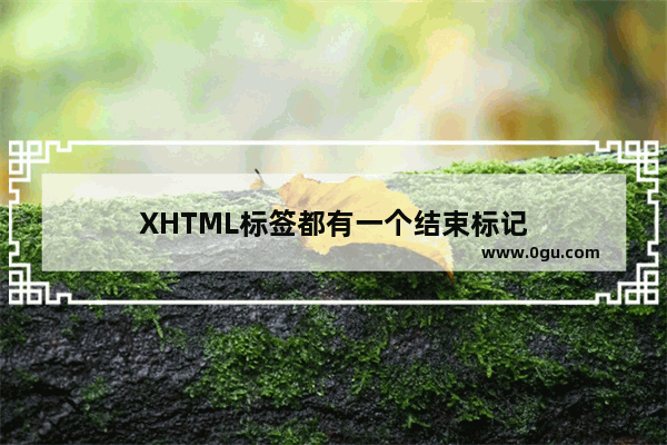 XHTML标签都有一个结束标记