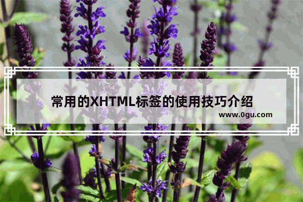 常用的XHTML标签的使用技巧介绍