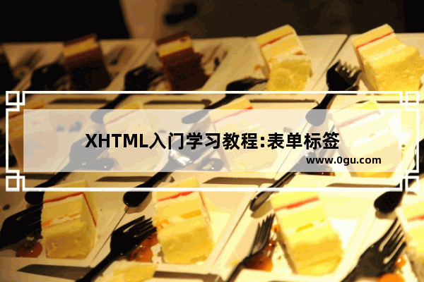 XHTML入门学习教程:表单标签