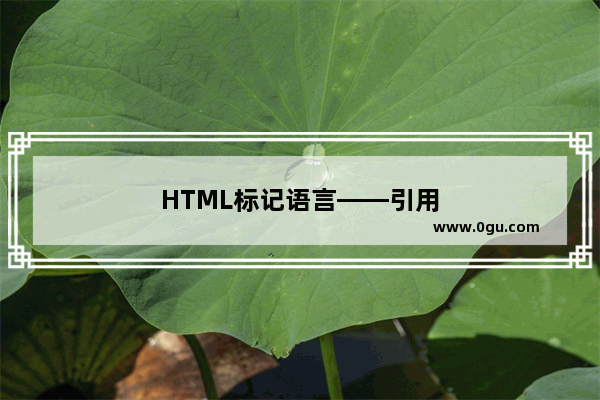 HTML标记语言——引用