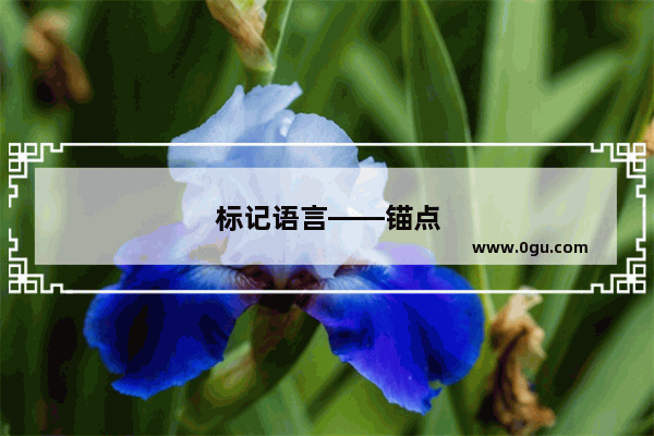 标记语言——锚点