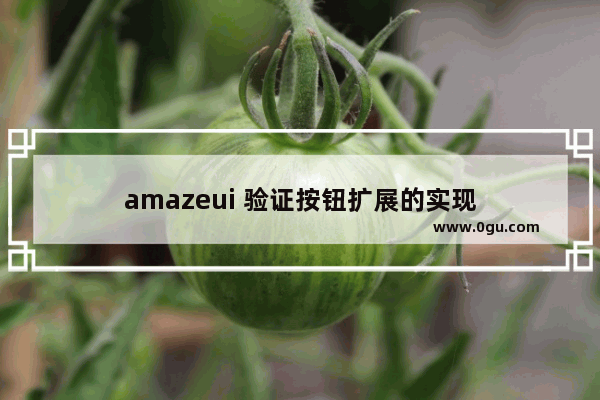 amazeui 验证按钮扩展的实现