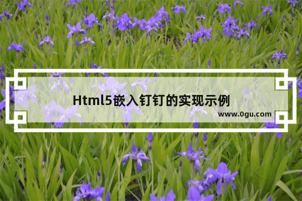 Html5嵌入钉钉的实现示例