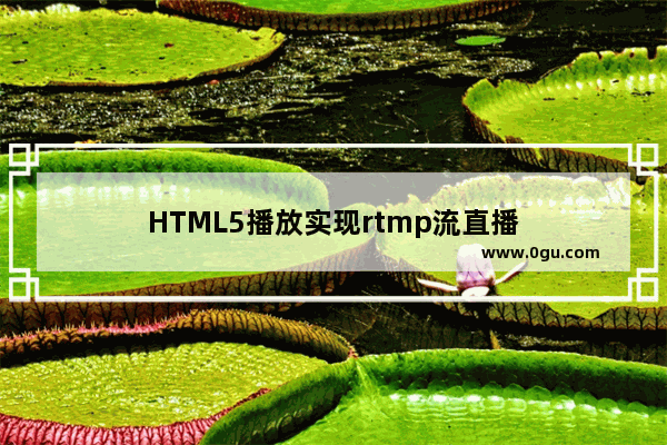 HTML5播放实现rtmp流直播