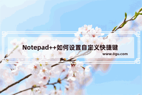 Notepad++如何设置自定义快捷键 notepad++修改快捷键的方法