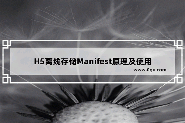 H5离线存储Manifest原理及使用