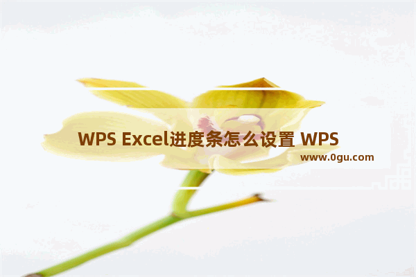 WPS Excel进度条怎么设置 WPS Excel中设置进度条的方法