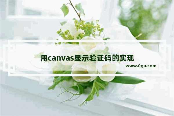 用canvas显示验证码的实现