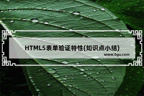 HTML5表单验证特性(知识点小结)