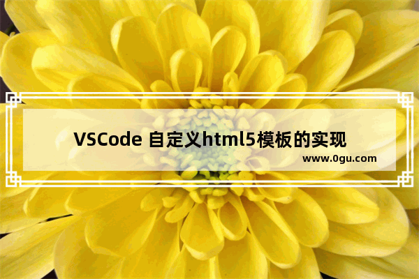 VSCode 自定义html5模板的实现