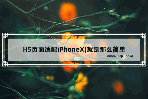 H5页面适配iPhoneX(就是那么简单)