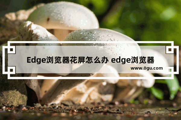 Edge浏览器花屏怎么办 edge浏览器花屏的解决方法