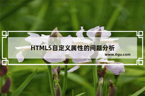 HTML5自定义属性的问题分析