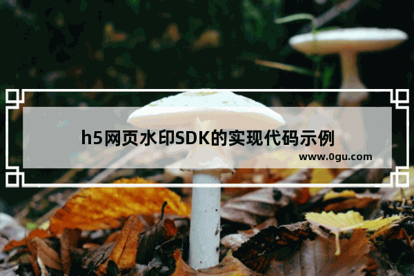 h5网页水印SDK的实现代码示例