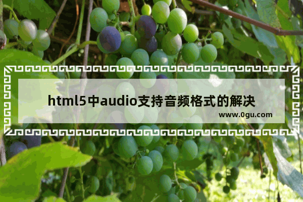 html5中audio支持音频格式的解决方法