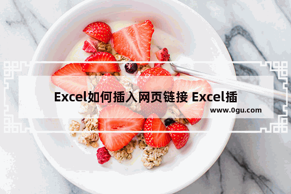 Excel如何插入网页链接 Excel插入网页链接的方法