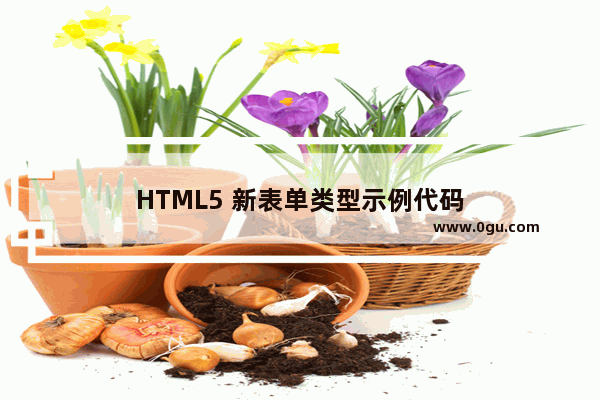 HTML5 新表单类型示例代码