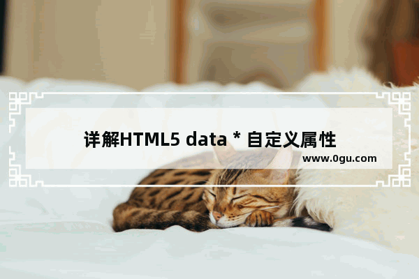 详解HTML5 data * 自定义属性