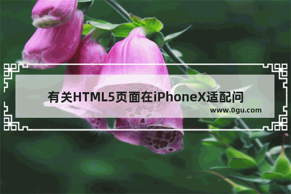 有关HTML5页面在iPhoneX适配问题