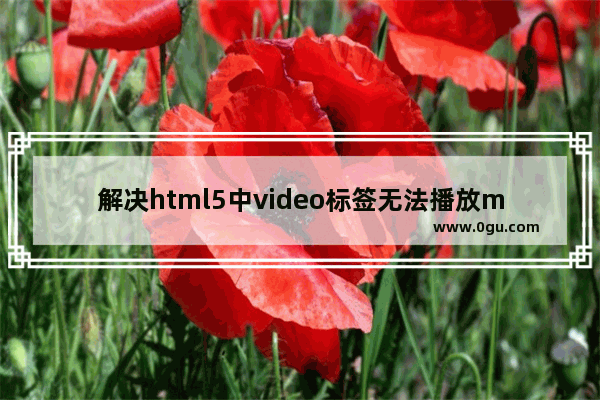 解决html5中video标签无法播放mp4问题的办法