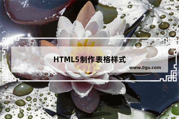 HTML5制作表格样式