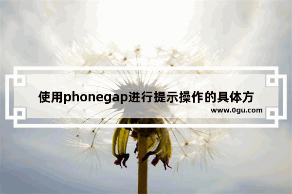 使用phonegap进行提示操作的具体方法