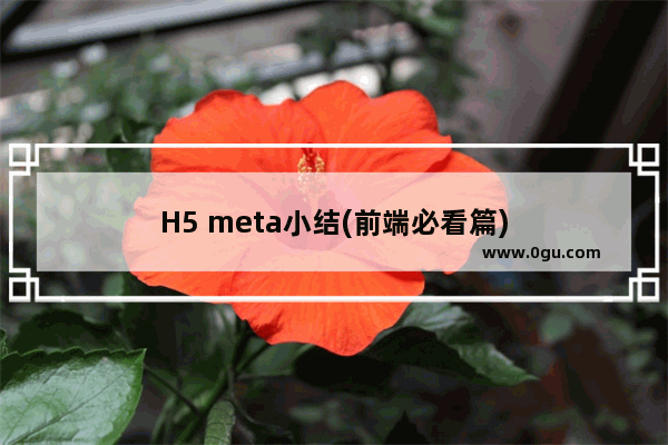 H5 meta小结(前端必看篇)