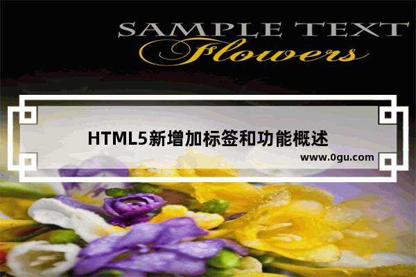 HTML5新增加标签和功能概述