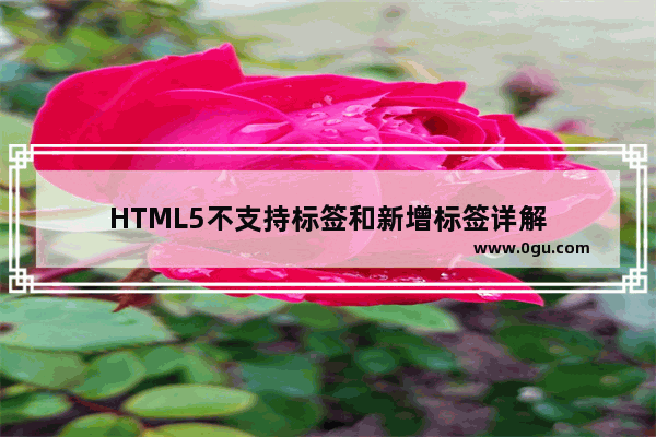 HTML5不支持标签和新增标签详解