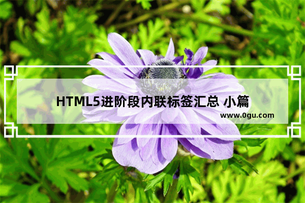 HTML5进阶段内联标签汇总 小篇