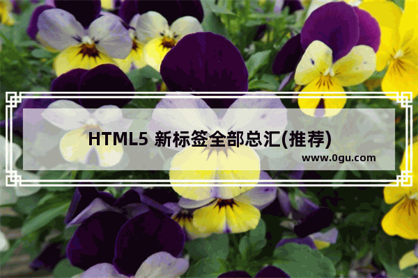 HTML5 新标签全部总汇(推荐)