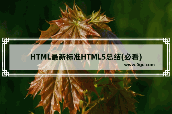 HTML最新标准HTML5总结(必看)