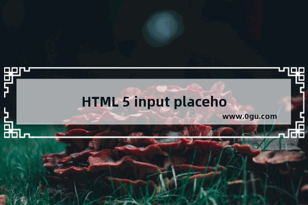 HTML 5 input placeholder 属性如何完美兼任ie