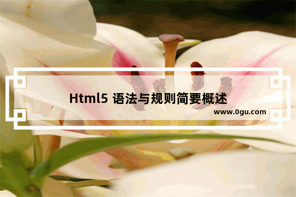 Html5 语法与规则简要概述