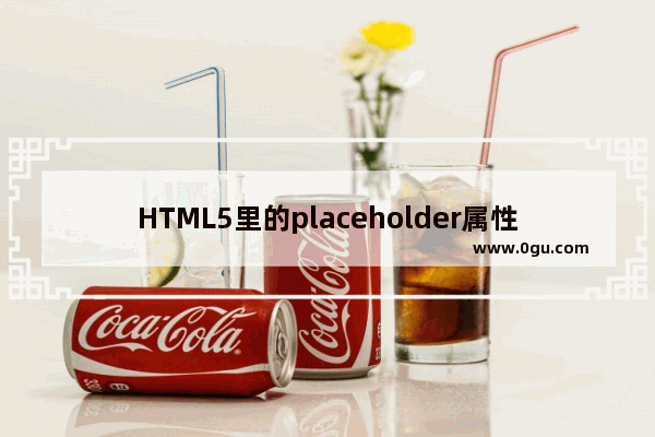 HTML5里的placeholder属性使用实例和美化显示效果的方法