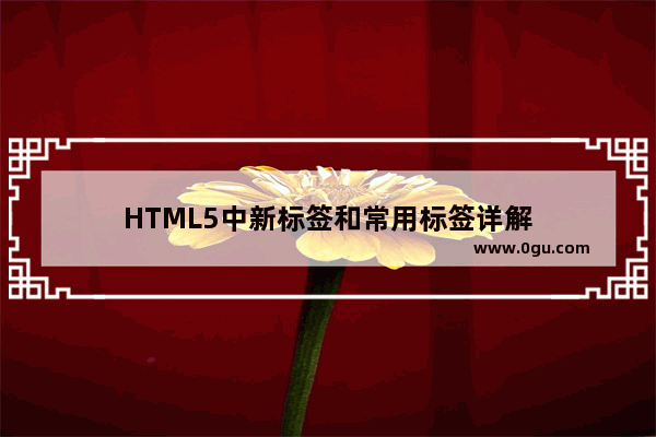 HTML5中新标签和常用标签详解