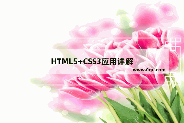 HTML5+CSS3应用详解