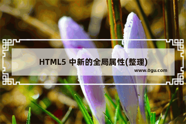 HTML5 中新的全局属性(整理)