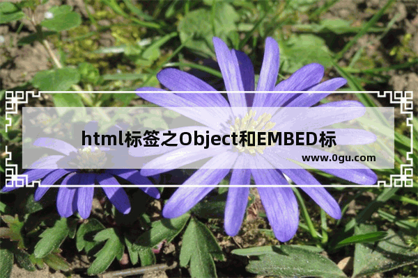 html标签之Object和EMBED标签详解