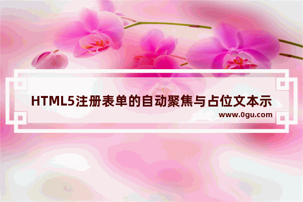 HTML5注册表单的自动聚焦与占位文本示例代码